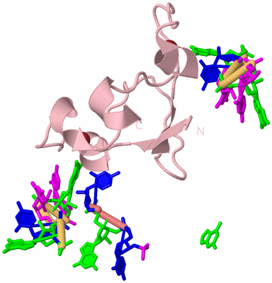 Image Biological Unit 3