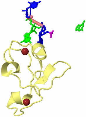 Image Biological Unit 4