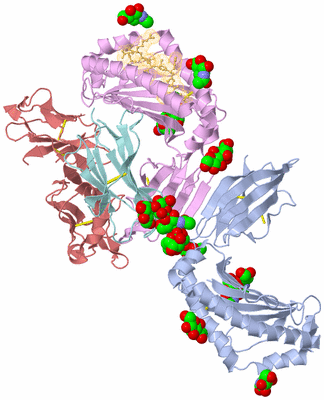 Image Biological Unit 2