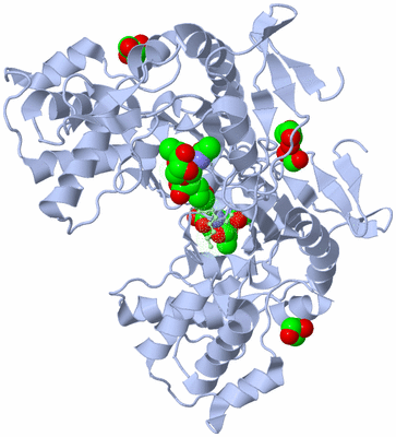 Image Biological Unit 2