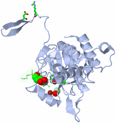 Image Biol. Unit 1 - sites