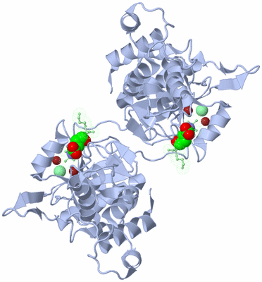 Image Biological Unit 2