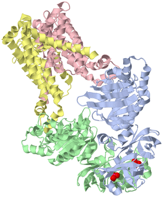 Image Biological Unit 1