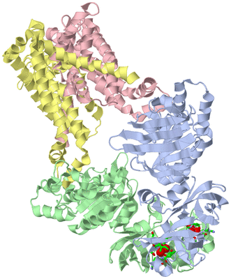 Image Biol. Unit 1 - sites