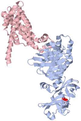 Image Biological Unit 2