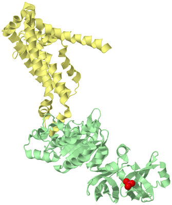 Image Biological Unit 3