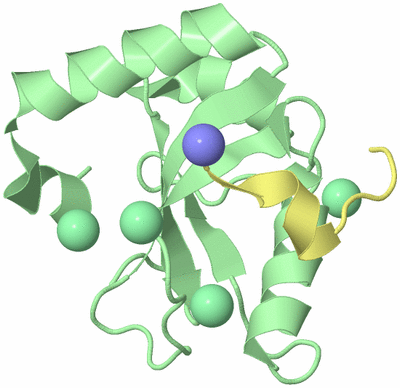 Image Biological Unit 1