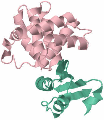 Image Biological Unit 3