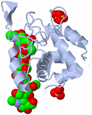 Image Biological Unit 1