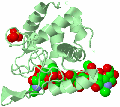 Image Biological Unit 2