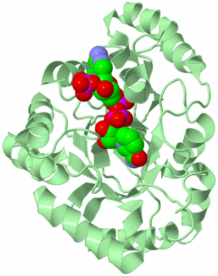 Image Biological Unit 3