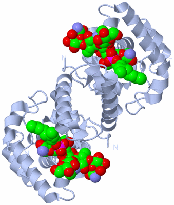 Image Biological Unit 1