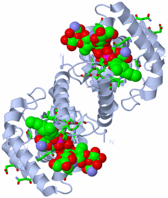 Image Biol. Unit 1 - sites