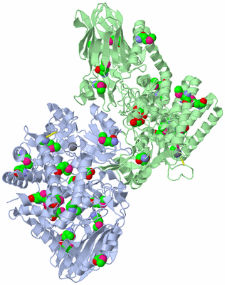 Image Biological Unit 1