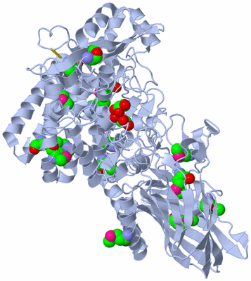 Image Biological Unit 2