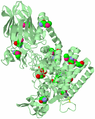 Image Biological Unit 3