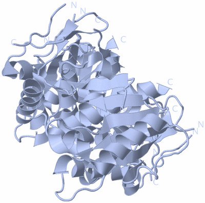 Image Biological Unit 1