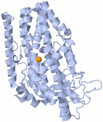 Image Biological Unit 1