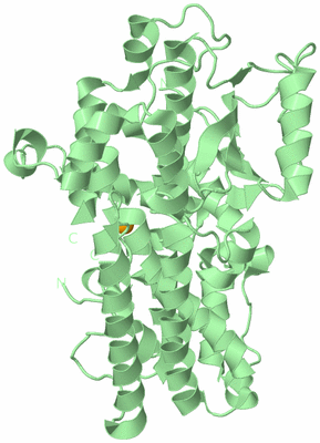 Image Biological Unit 2