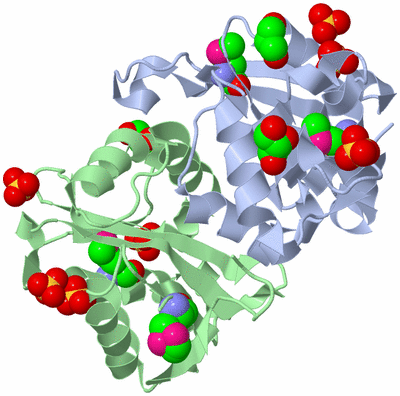 Image Biological Unit 1