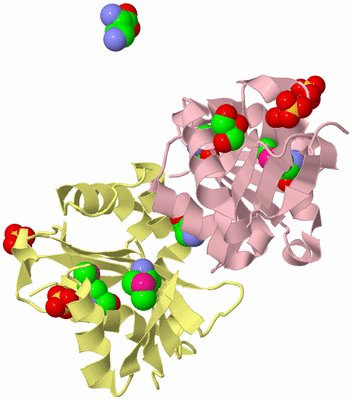 Image Biological Unit 2