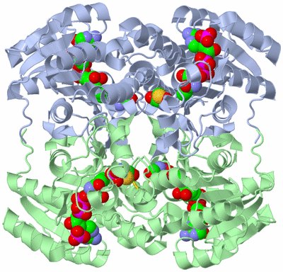 Image Biological Unit 1