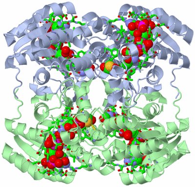 Image Biol. Unit 1 - sites