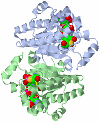 Image Biological Unit 2