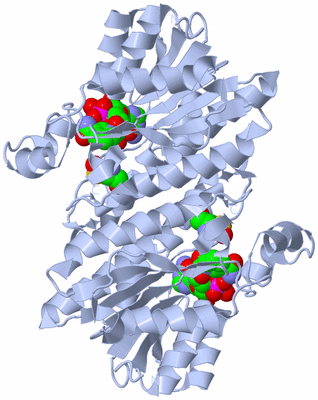 Image Biological Unit 3