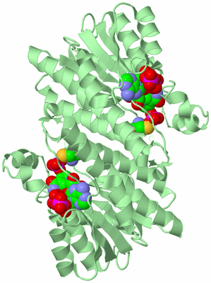 Image Biological Unit 4