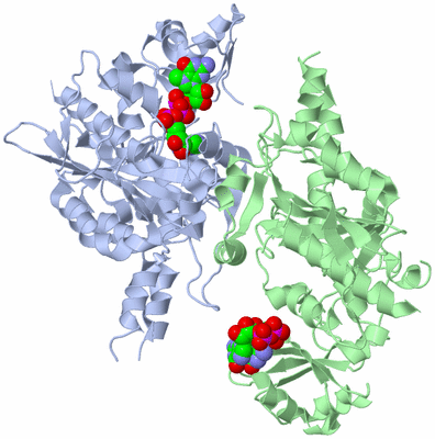 Image Asym./Biol. Unit