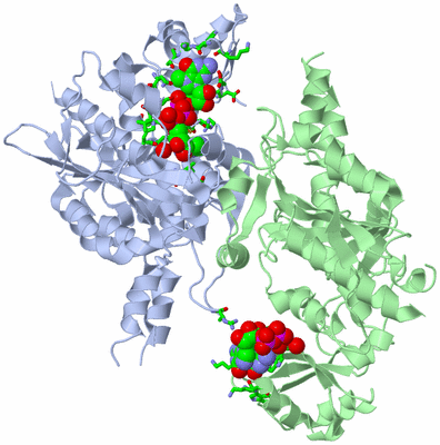 Image Asym./Biol. Unit - sites