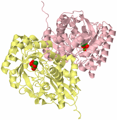 Image Biological Unit 2