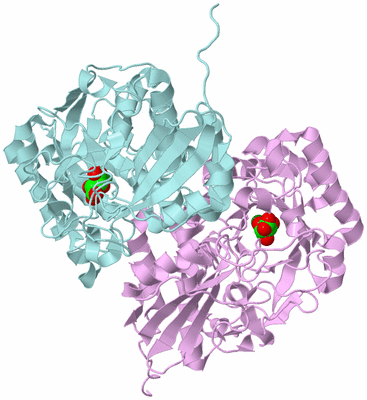 Image Biological Unit 3