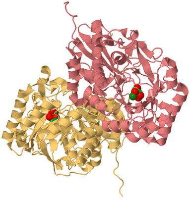 Image Biological Unit 4