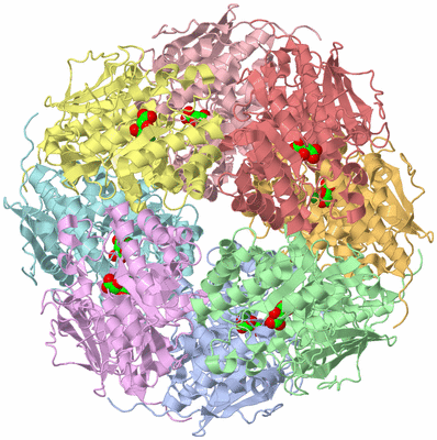 Image Biological Unit 5