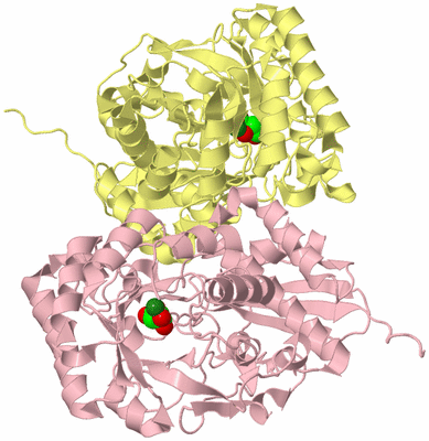 Image Biological Unit 2