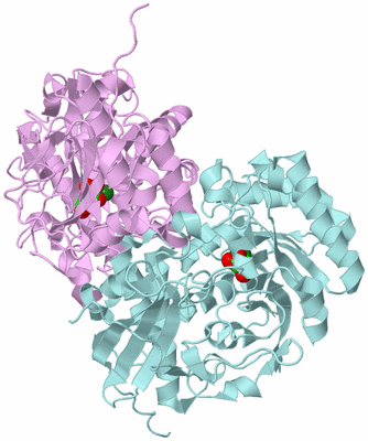 Image Biological Unit 3