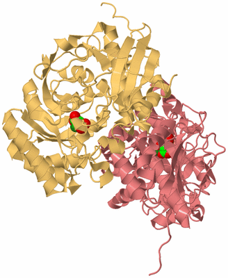 Image Biological Unit 4