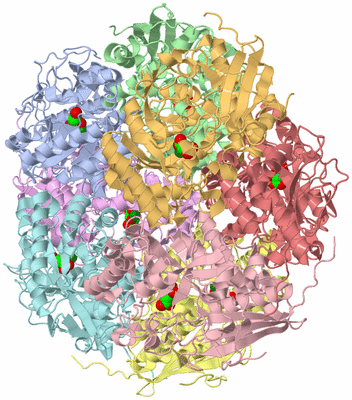 Image Biological Unit 5