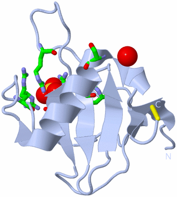 Image Biol. Unit 1 - sites