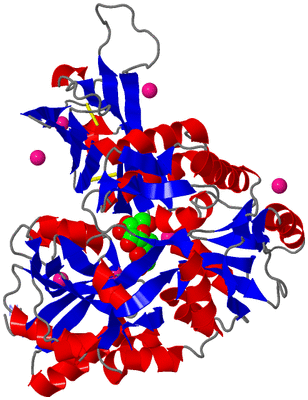 Image Asym./Biol. Unit