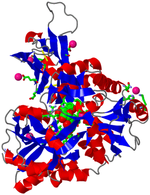 Image Asym./Biol. Unit - sites