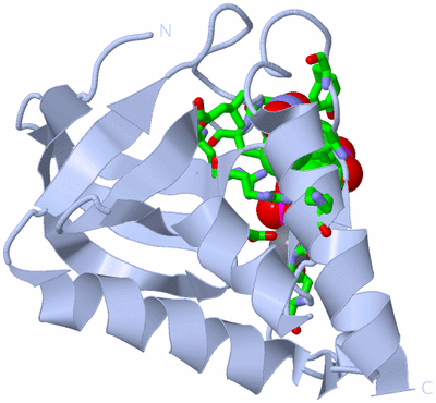 Image Biol. Unit 1 - sites