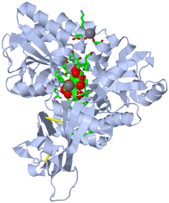 Image Biol. Unit 1 - sites