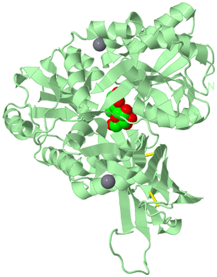 Image Biological Unit 2