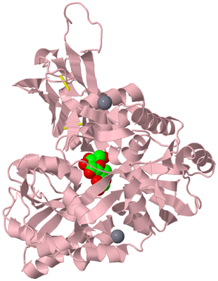 Image Biological Unit 3