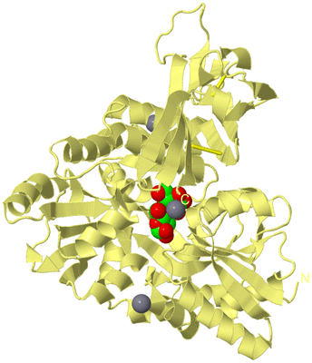 Image Biological Unit 4