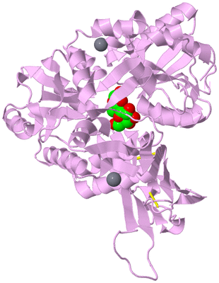 Image Biological Unit 5