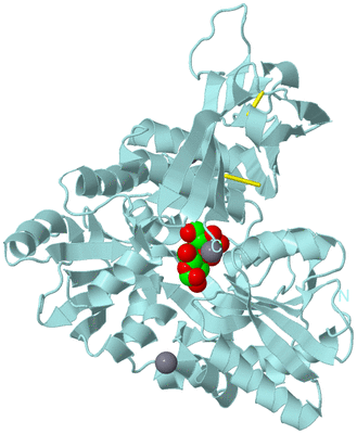 Image Biological Unit 6